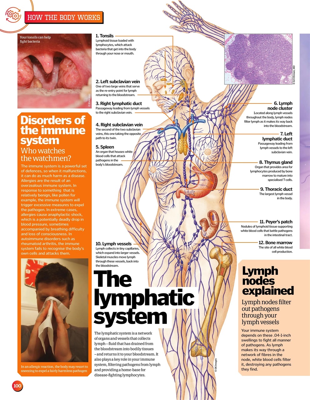 How It Works Bookazine Preview Pages