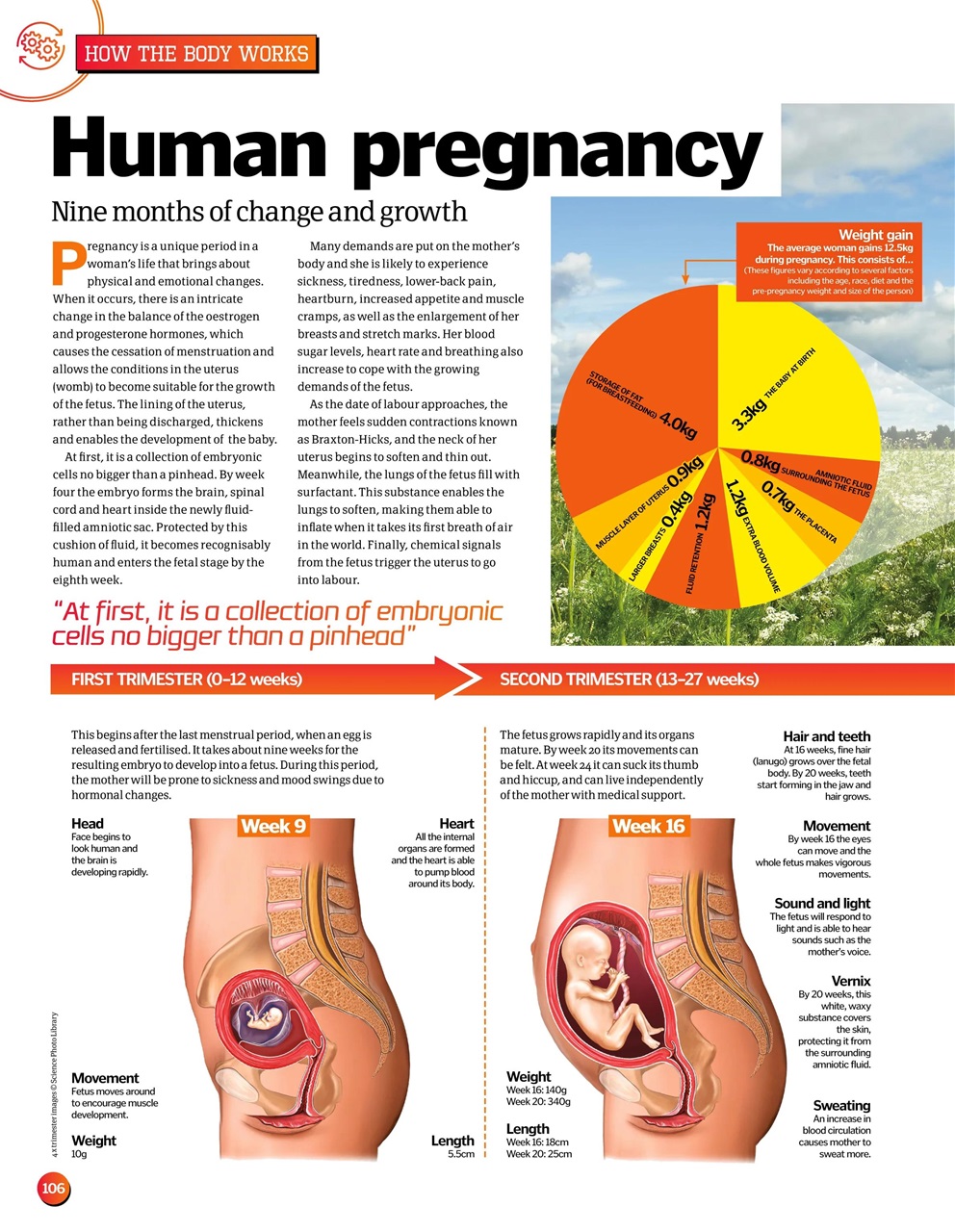 How It Works Bookazine Preview Pages