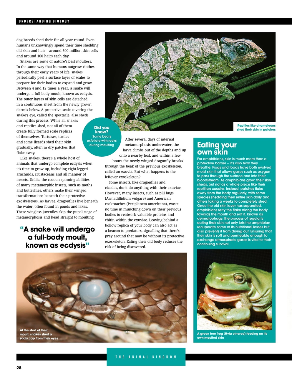 How It Works Bookazine Preview Pages