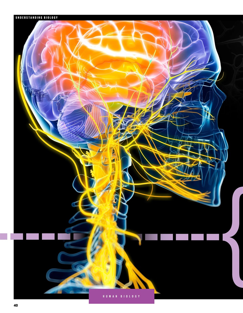 How It Works Bookazine Preview Pages