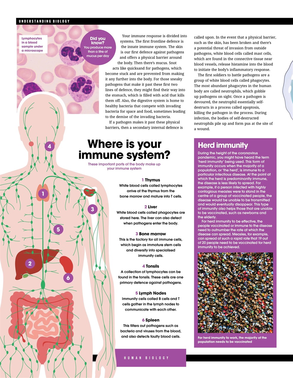 How It Works Bookazine Preview Pages