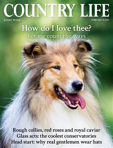 Country Life issue 14th February 2024