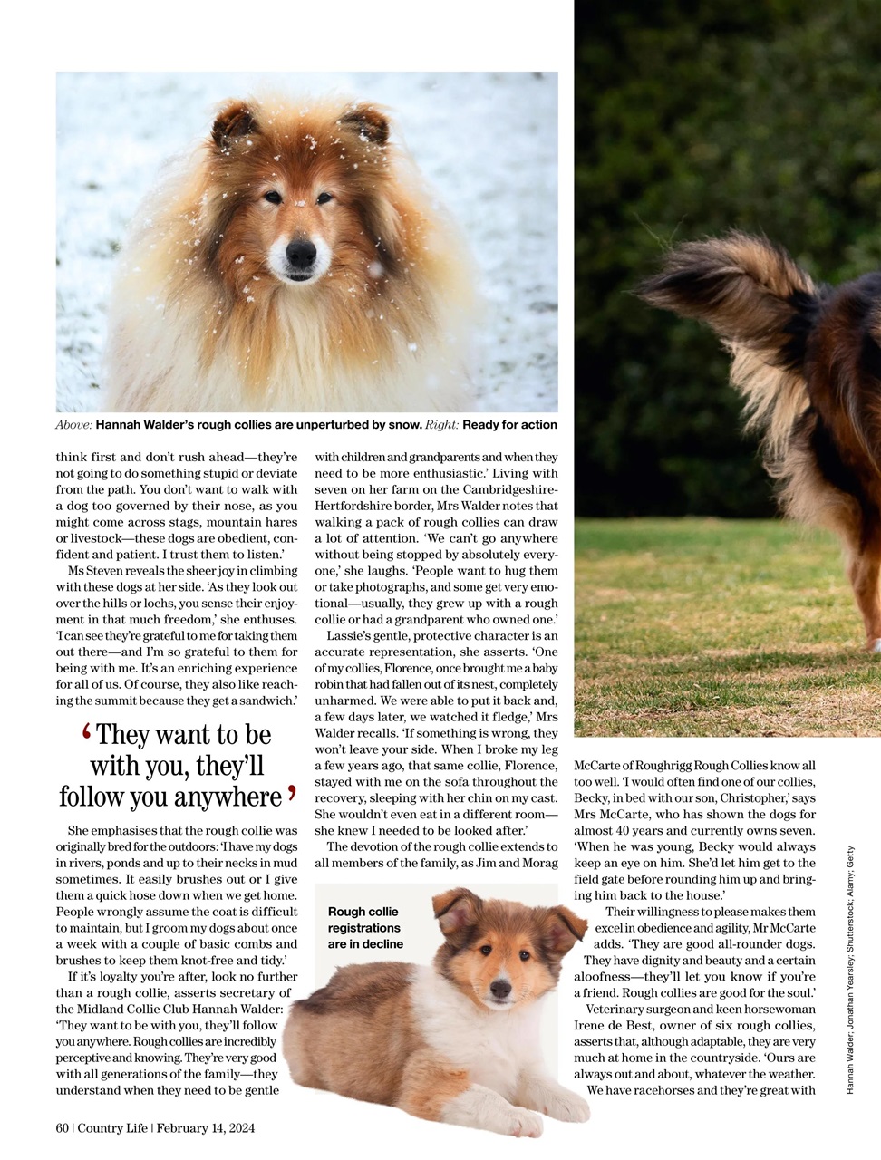 Country Life Preview Pages