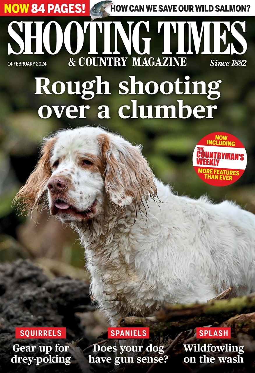 Shooting Times & Country Preview Pages