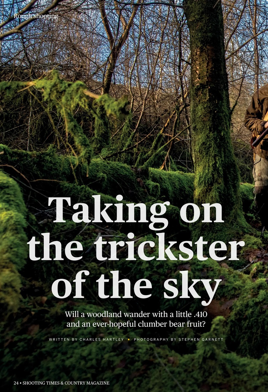 Shooting Times & Country Preview Pages