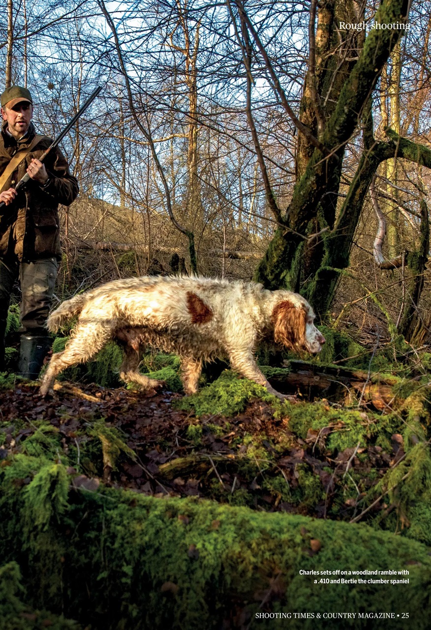 Shooting Times & Country Preview Pages