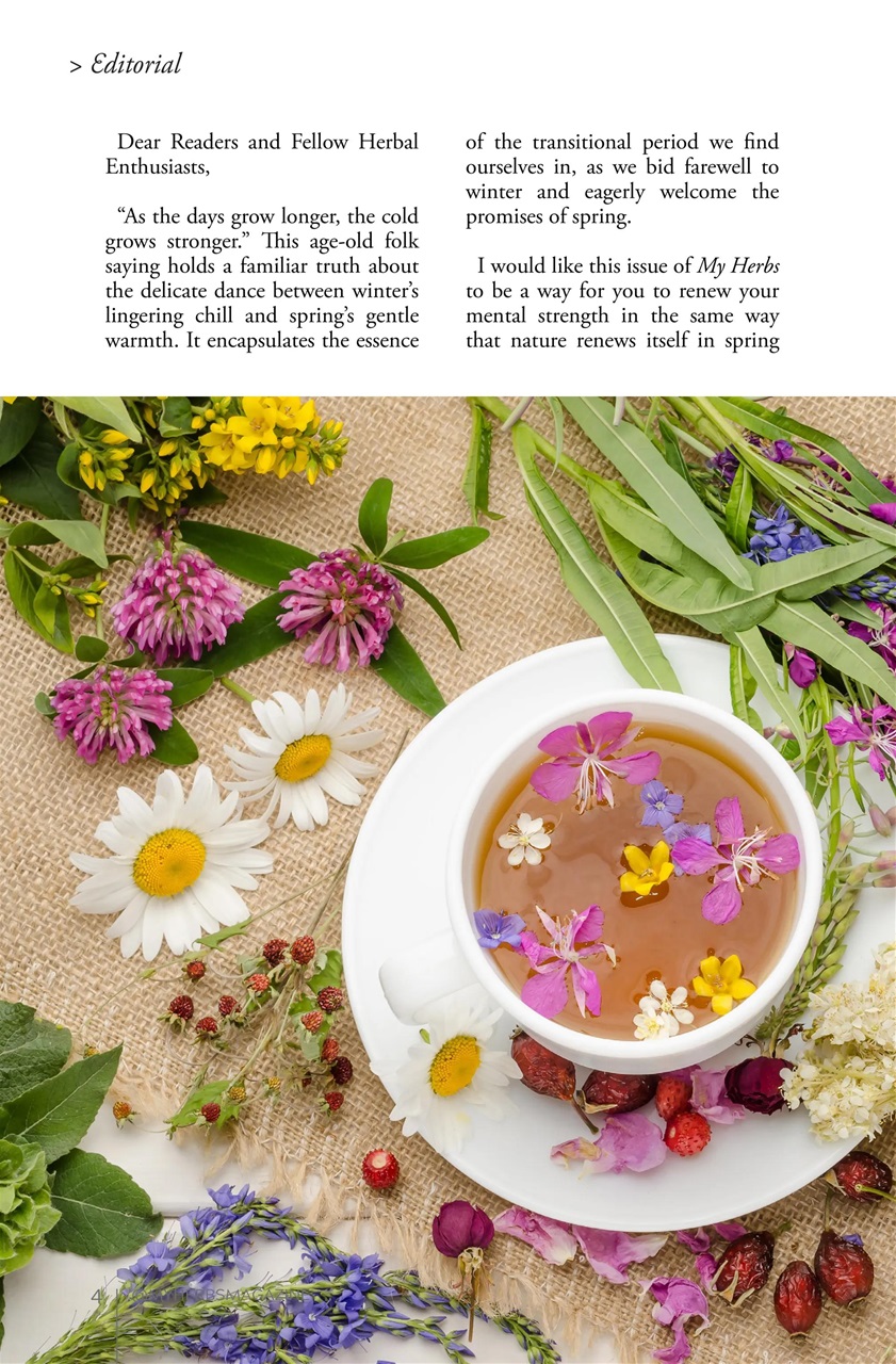 My Herbs Magazine Preview Pages