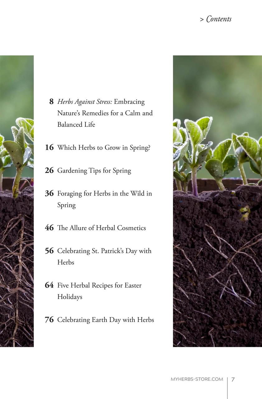 My Herbs Magazine Preview Pages