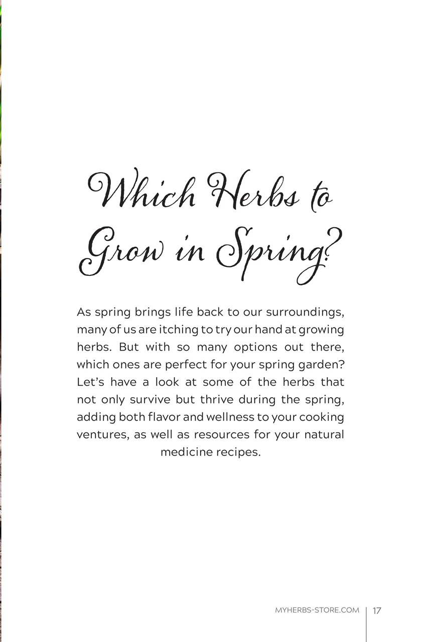 My Herbs Magazine Preview Pages