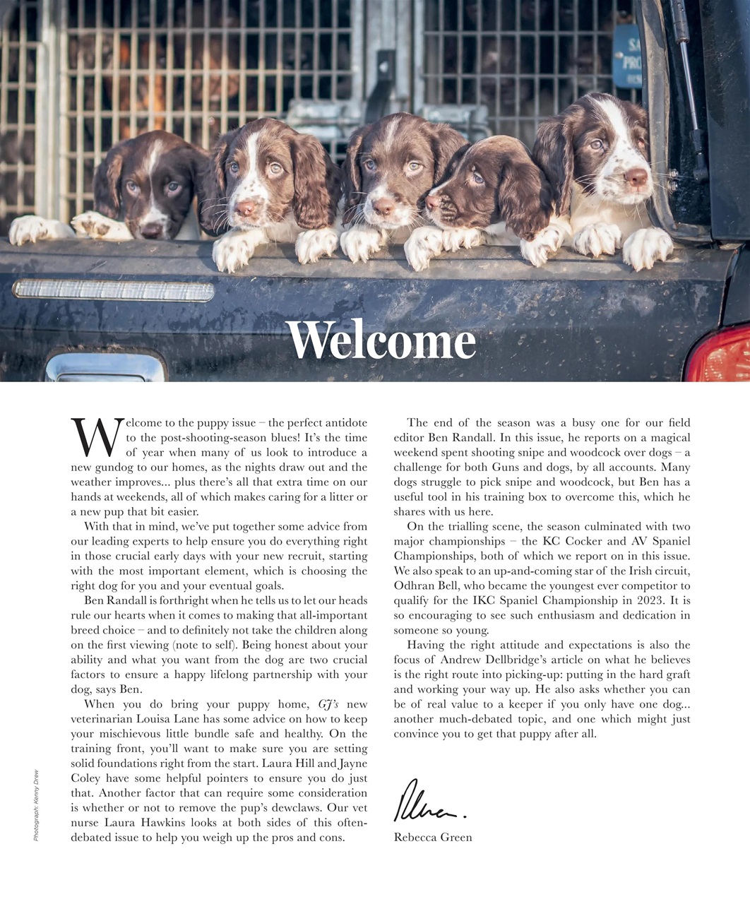 Gundog Journal Preview Pages