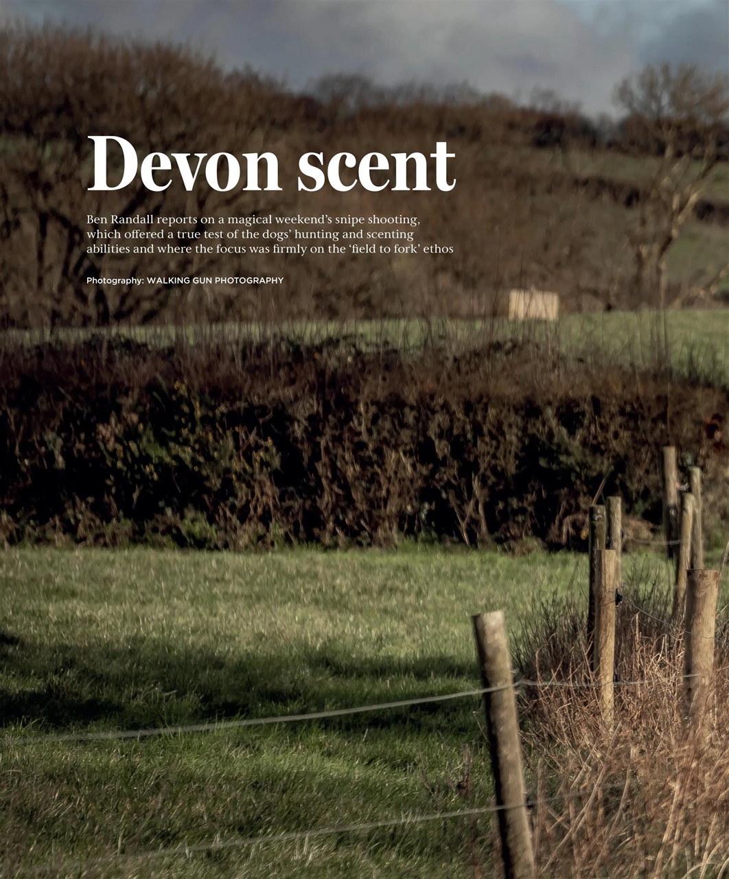 Gundog Journal Preview Pages