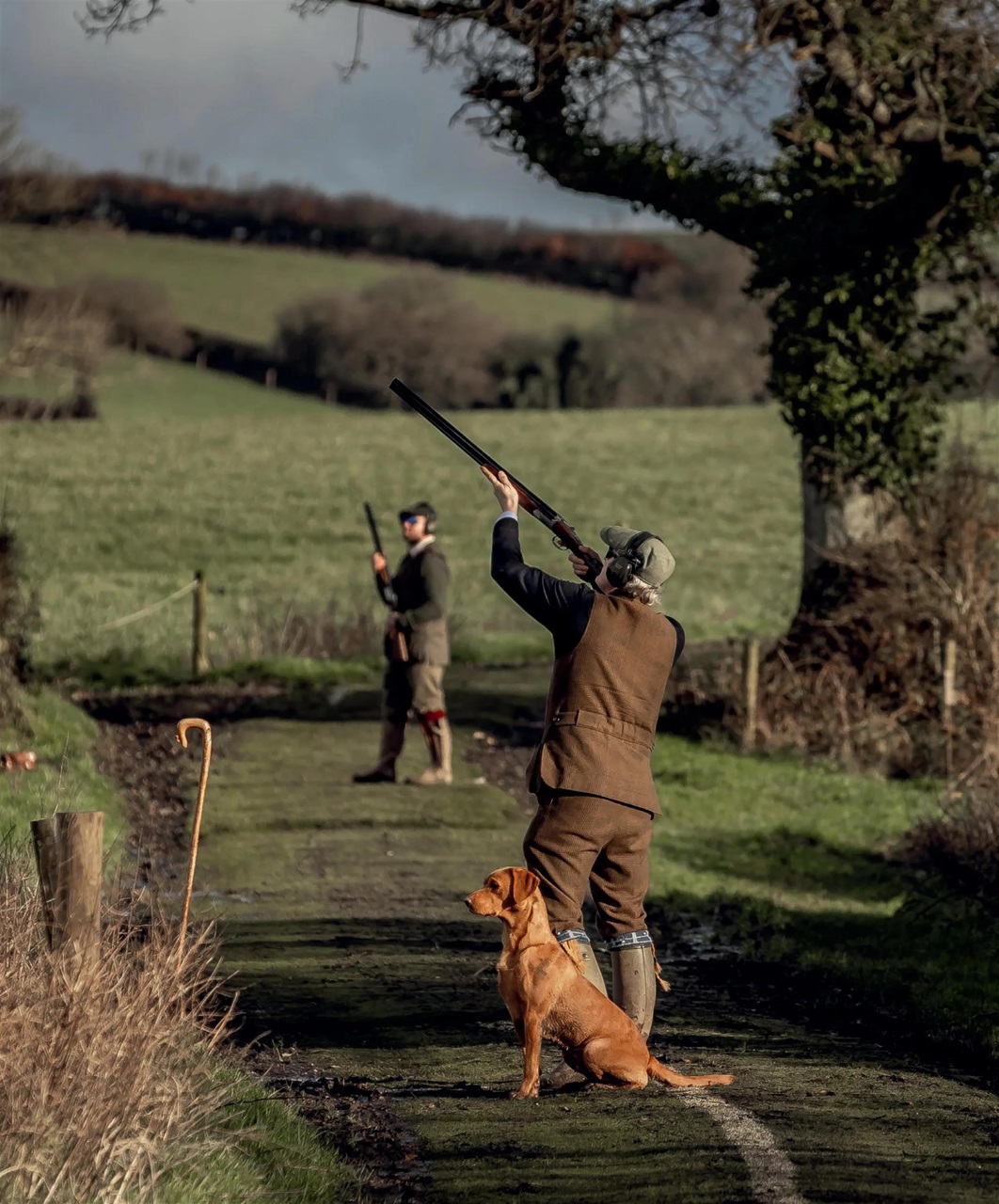 Gundog Journal Preview Pages