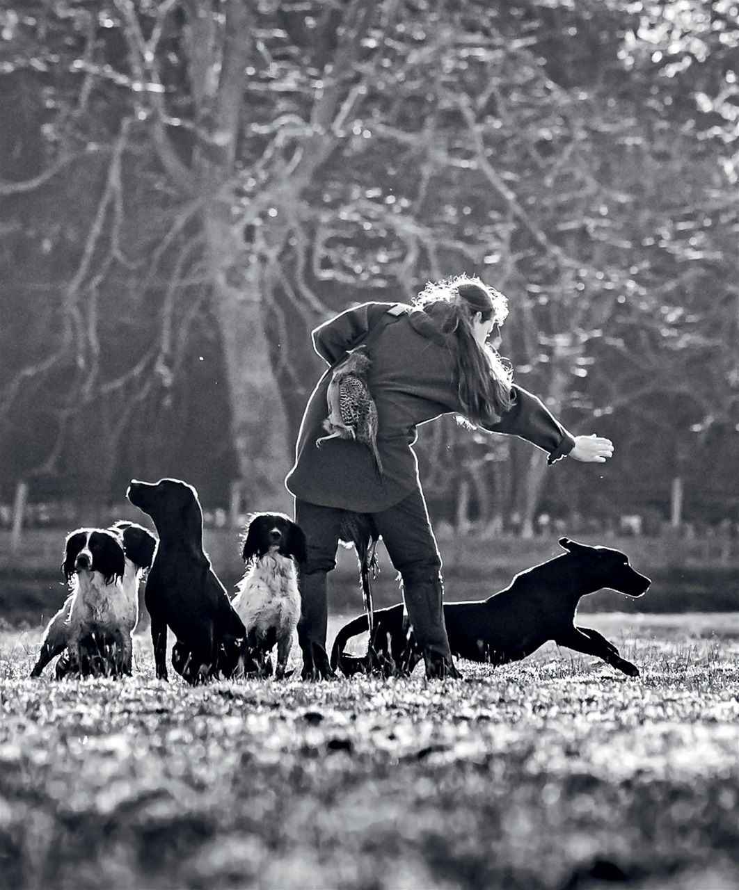 Gundog Journal Preview Pages