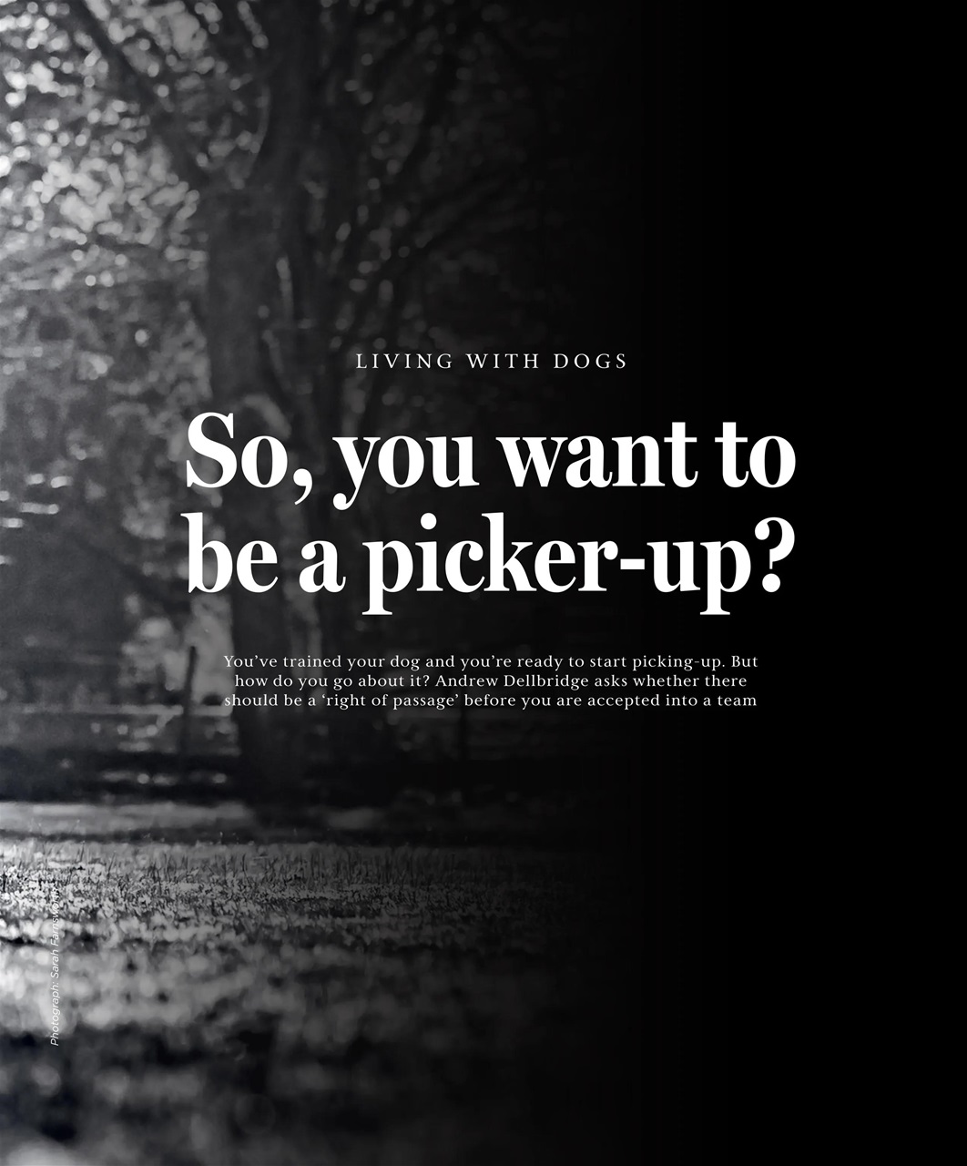 Gundog Journal Preview Pages