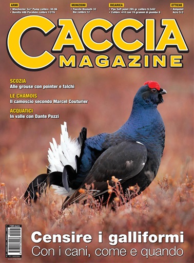 Caccia Magazine issue 