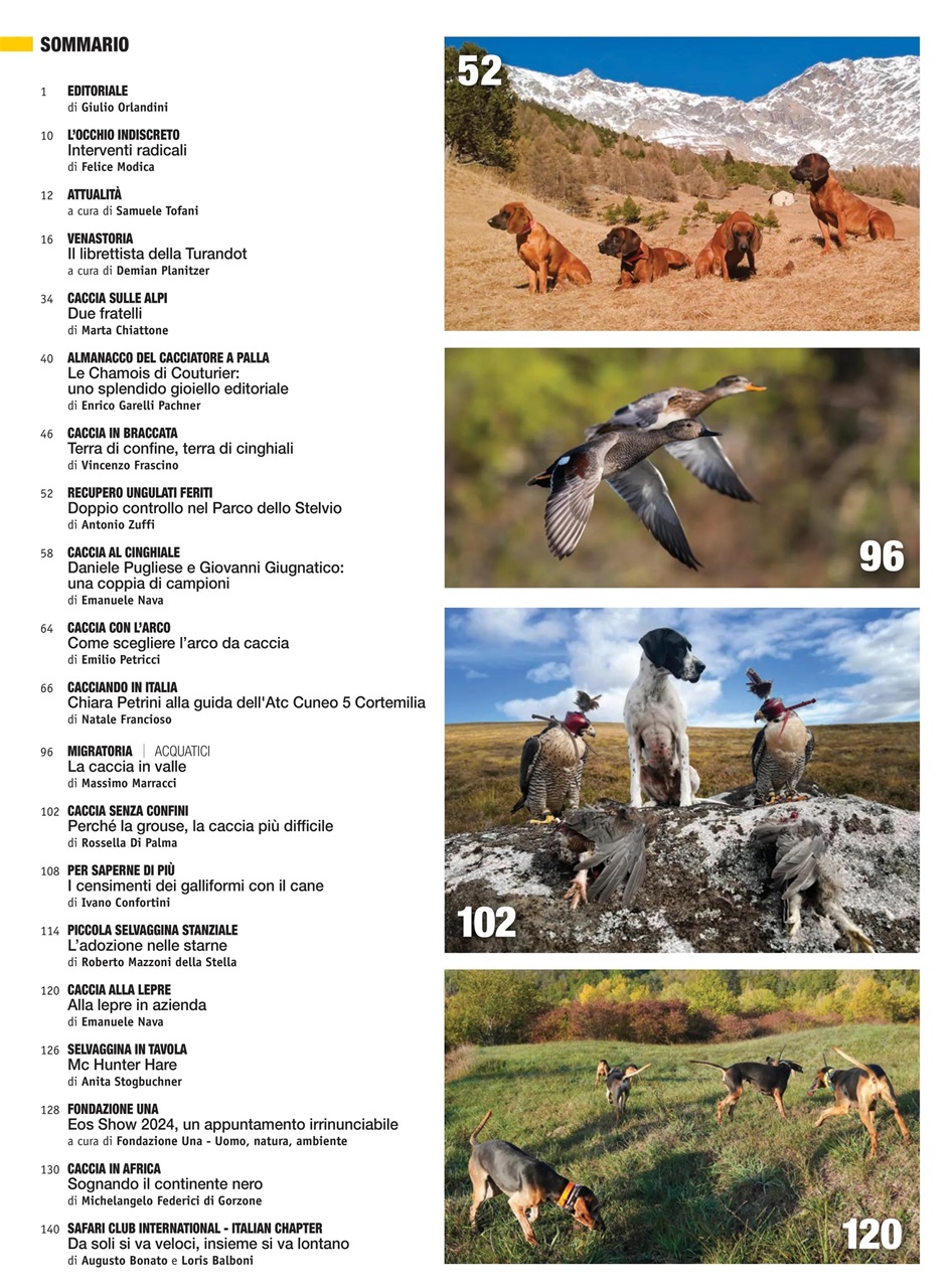 Caccia Magazine Preview Pages