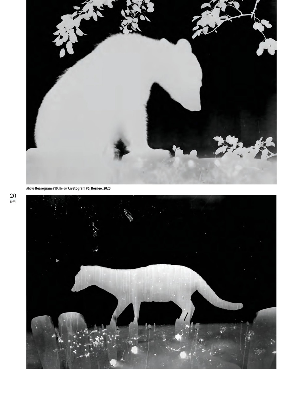 Black+White Photography Preview Pages