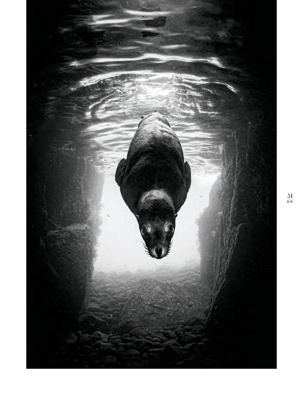 Black+White Photography Preview Pages