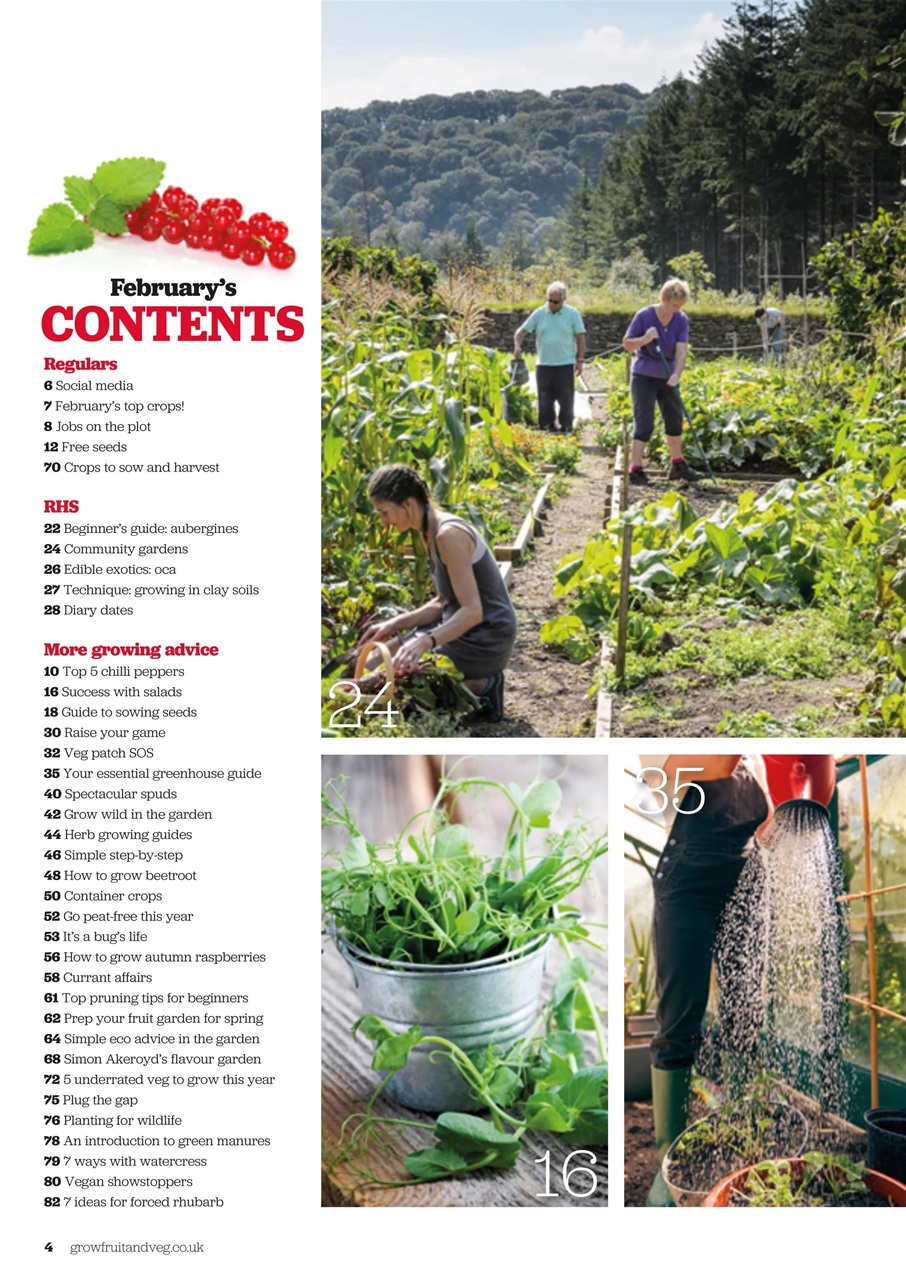 Grow Your Own Preview Pages