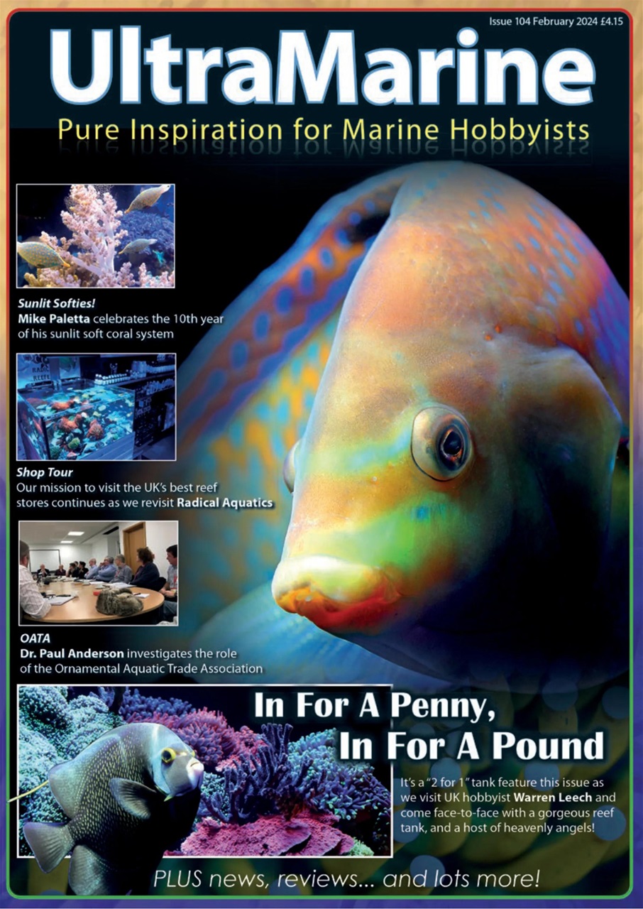 UltraMarine Magazine Preview Pages