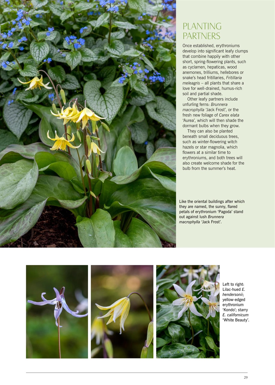 LandScape Preview Pages