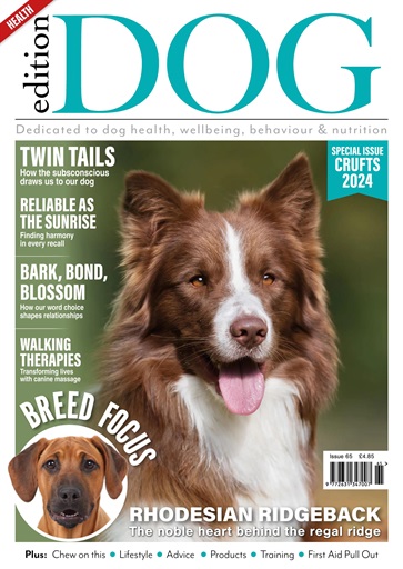 Edition Dog issue 