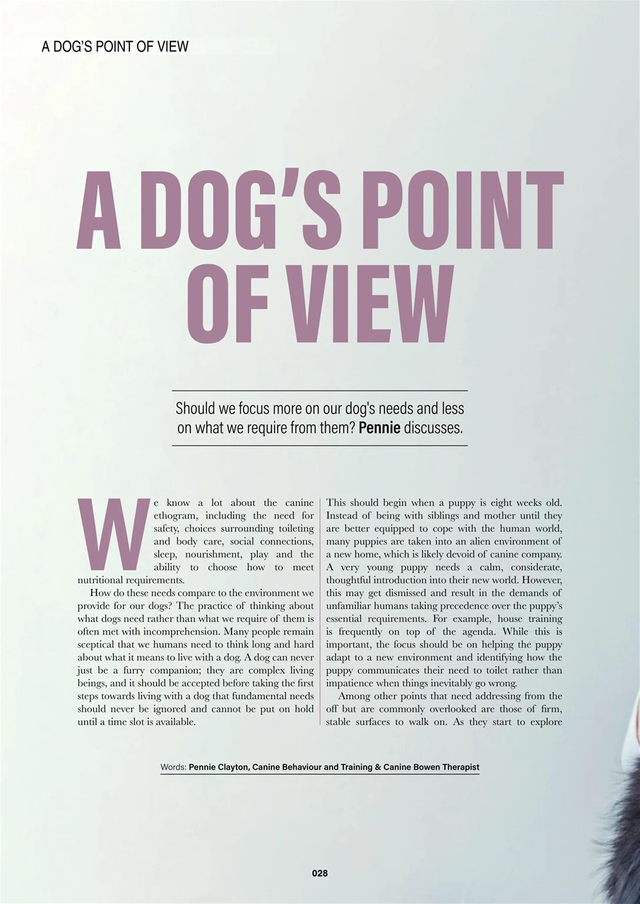 Edition Dog Preview Pages