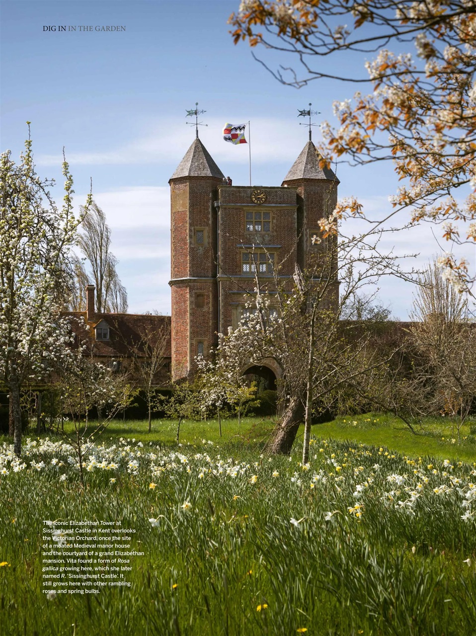 Gardens Illustrated Preview Pages