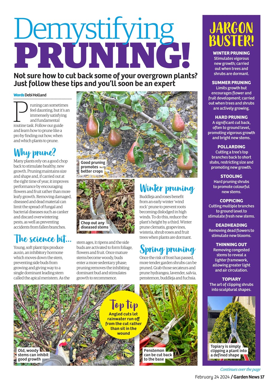 Garden News Preview Pages