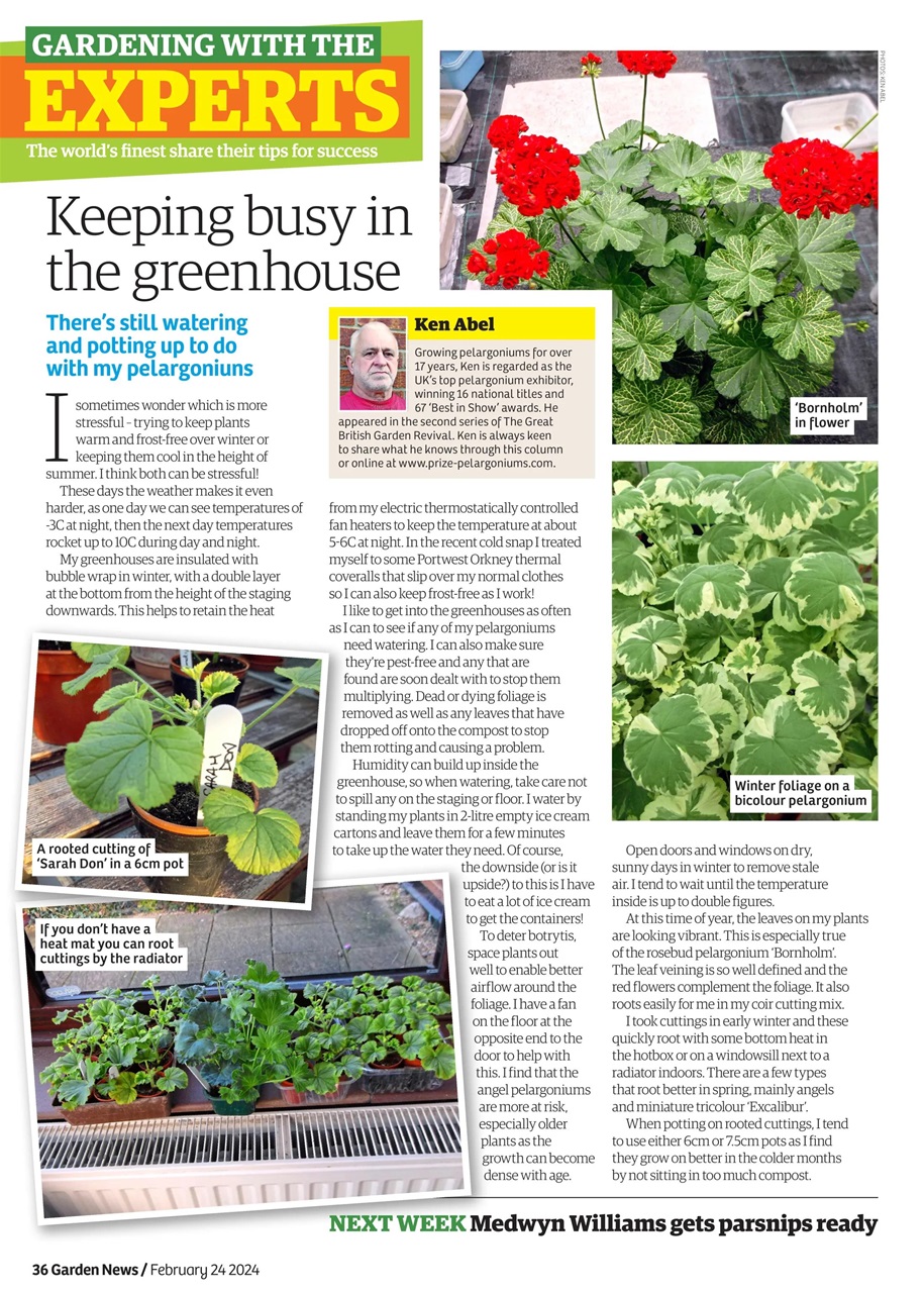 Garden News Preview Pages