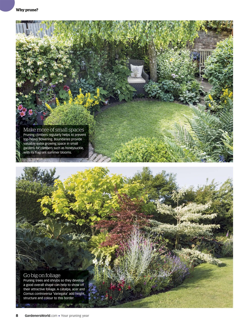 BBC Gardeners’ World Magazine Preview Pages