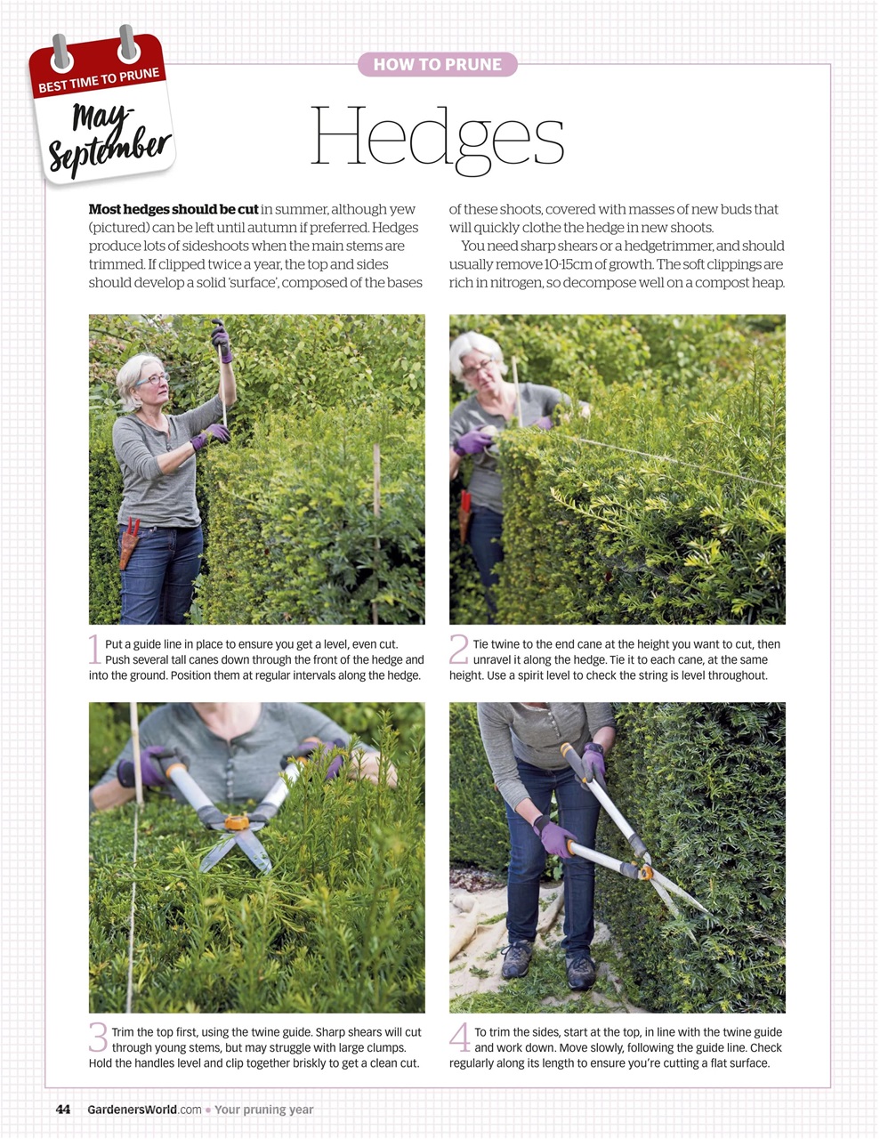 BBC Gardeners’ World Magazine Preview Pages