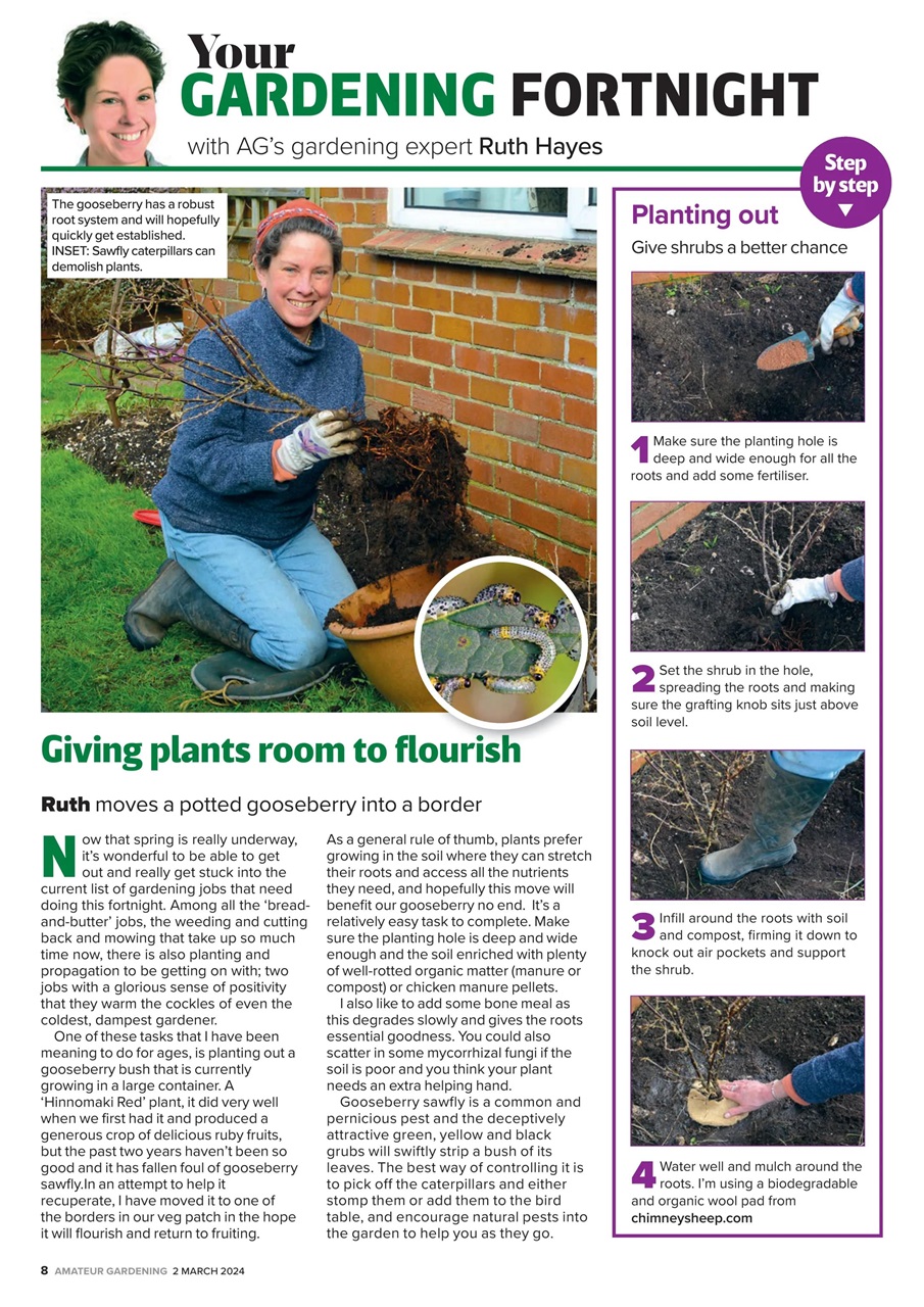 Amateur Gardening Preview Pages