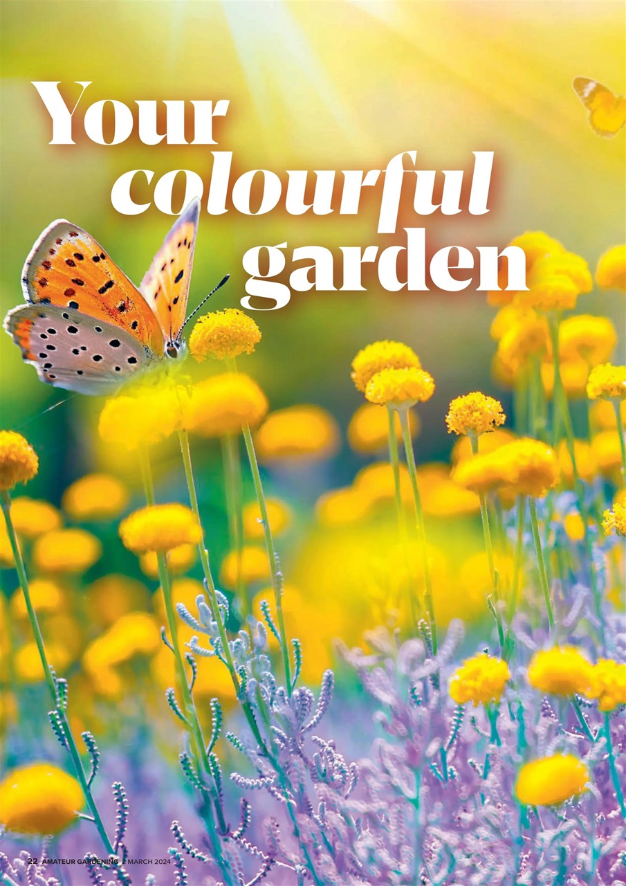 Amateur Gardening Preview Pages