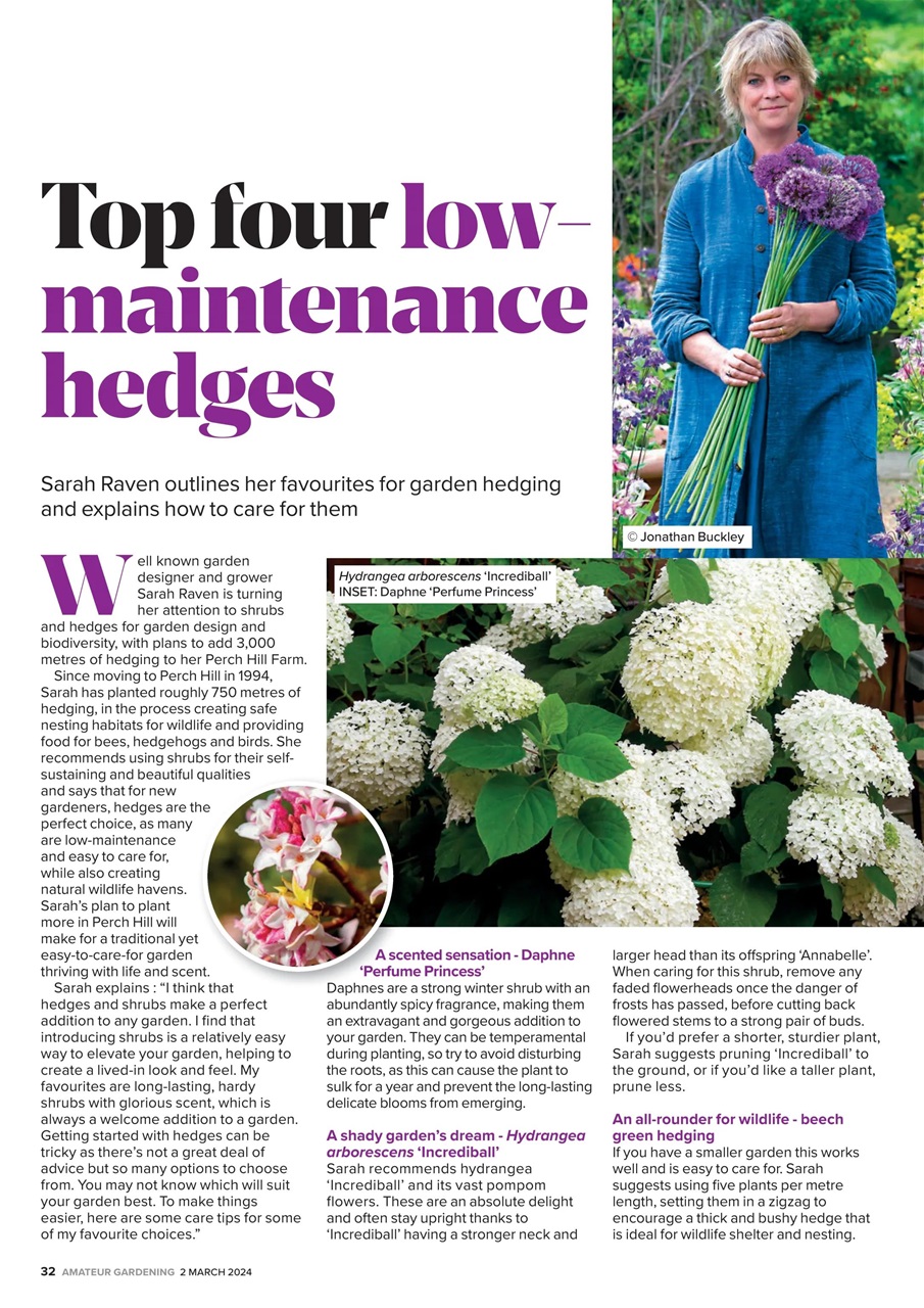 Amateur Gardening Preview Pages