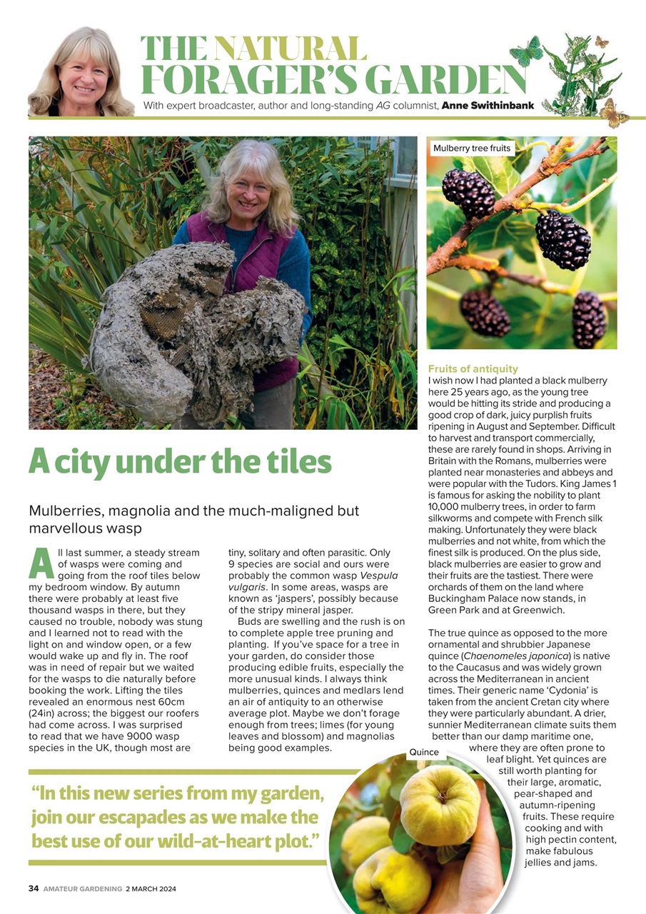 Amateur Gardening Preview Pages