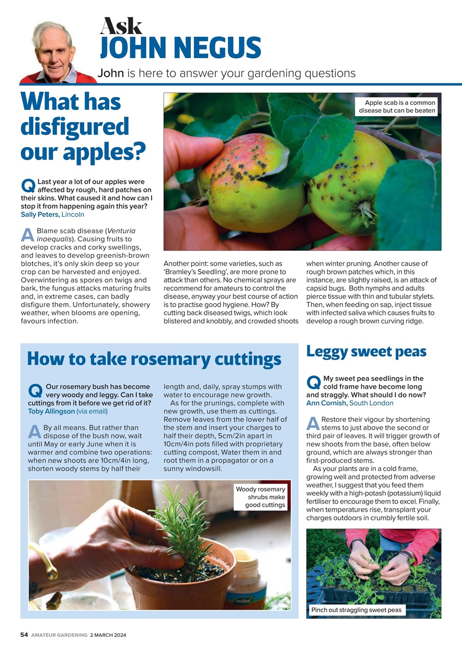 Amateur Gardening Preview Pages