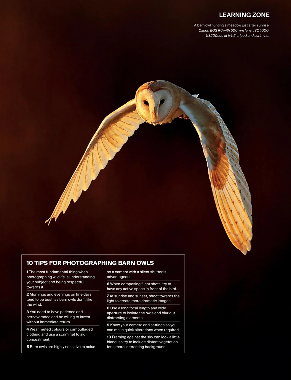 Outdoor Photography Preview Pages