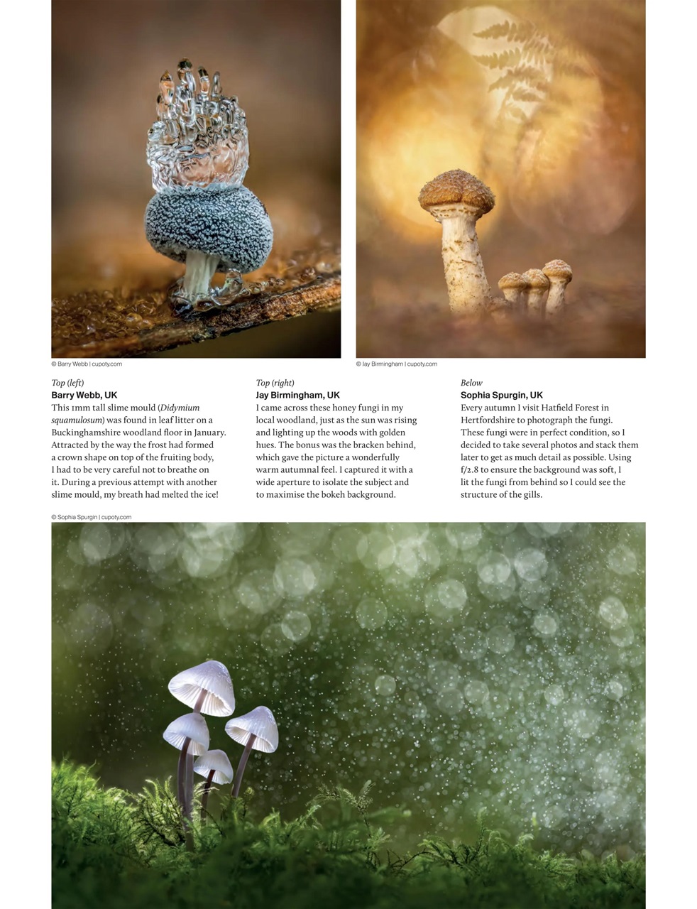 Outdoor Photography Preview Pages