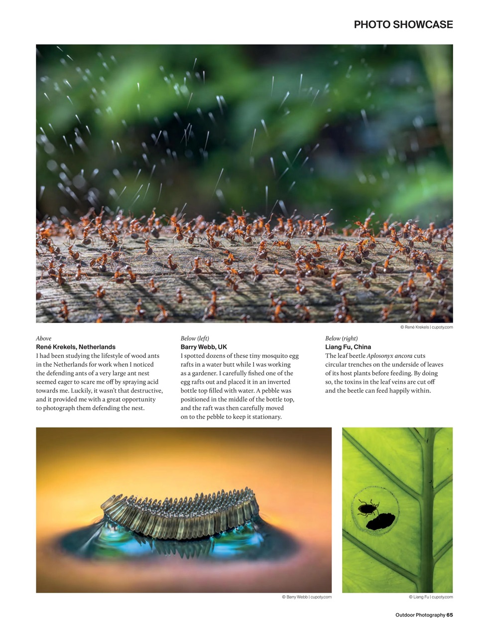 Outdoor Photography Preview Pages