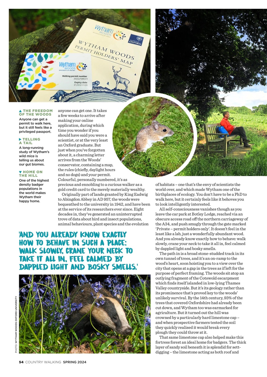Country Walking Preview Pages