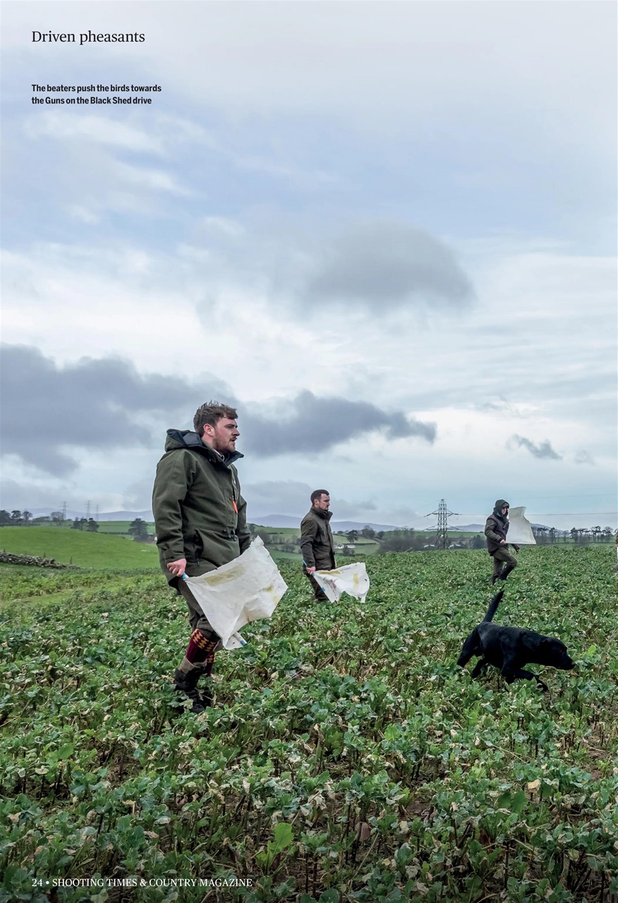 Shooting Times & Country Preview Pages