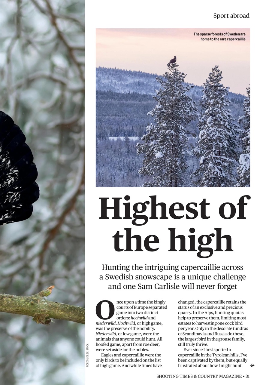 Shooting Times & Country Preview Pages