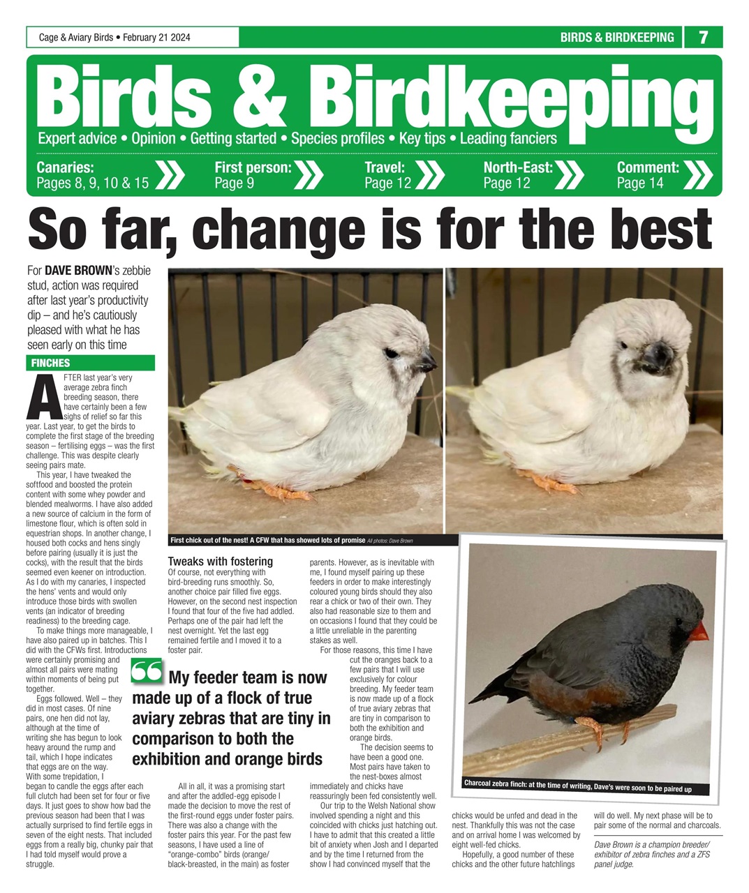 Cage & Aviary Birds Preview Pages