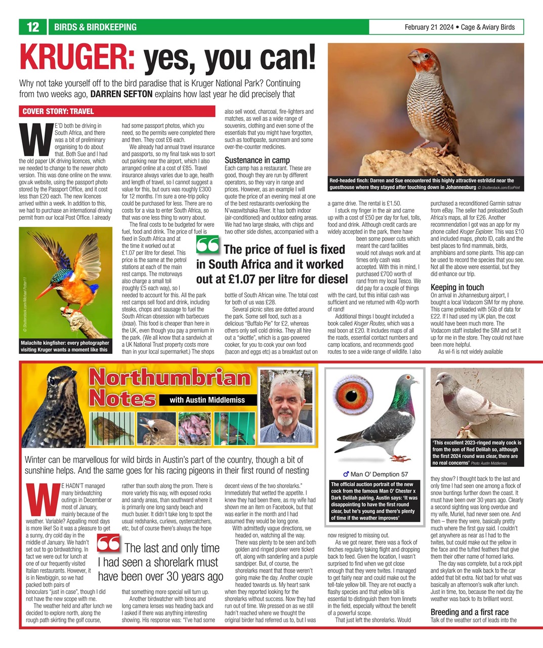 Cage & Aviary Birds Preview Pages