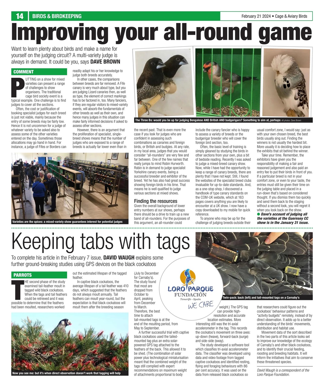 Cage & Aviary Birds Preview Pages