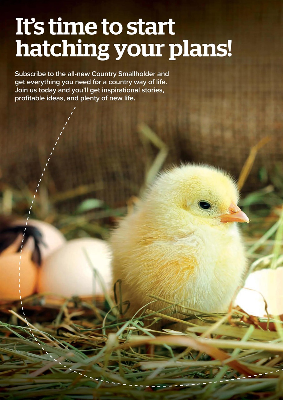 The Country Smallholder Preview Pages