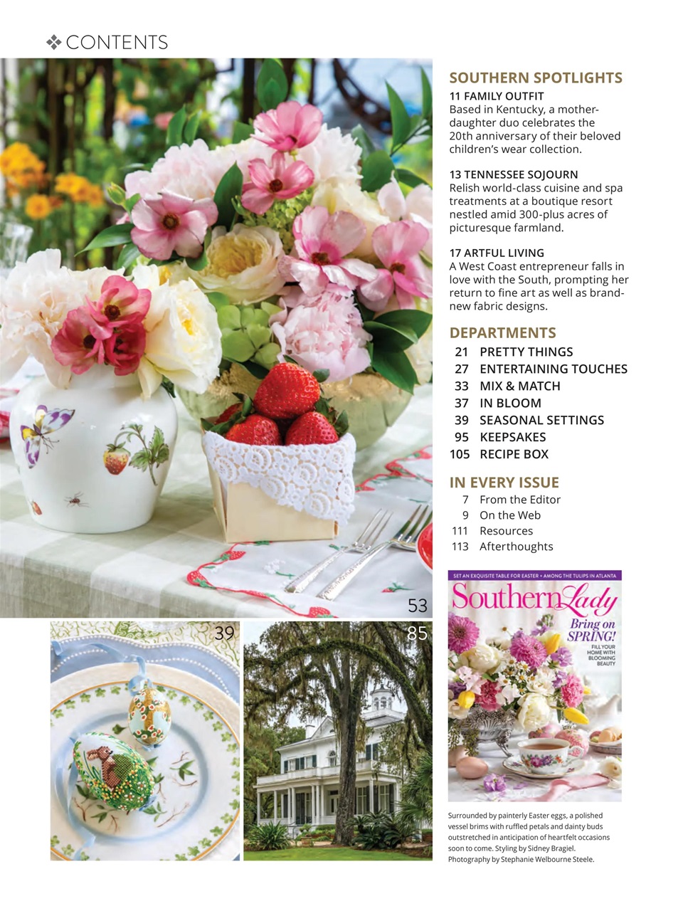Southern Lady Preview Pages