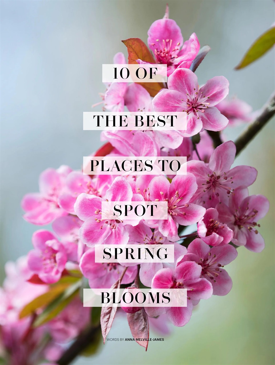 Country Living Preview Pages