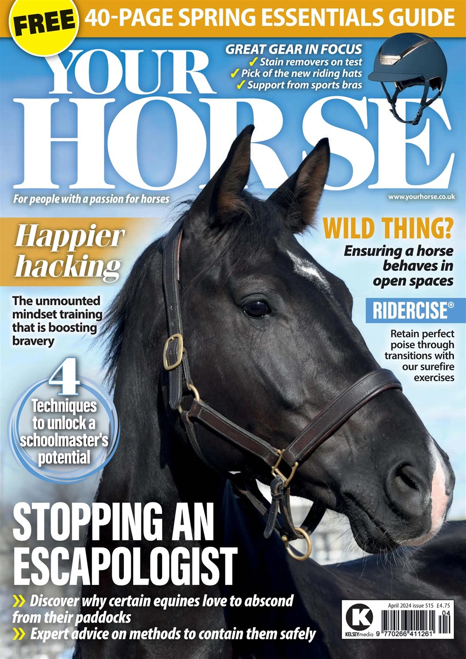 Your Horse Preview Pages